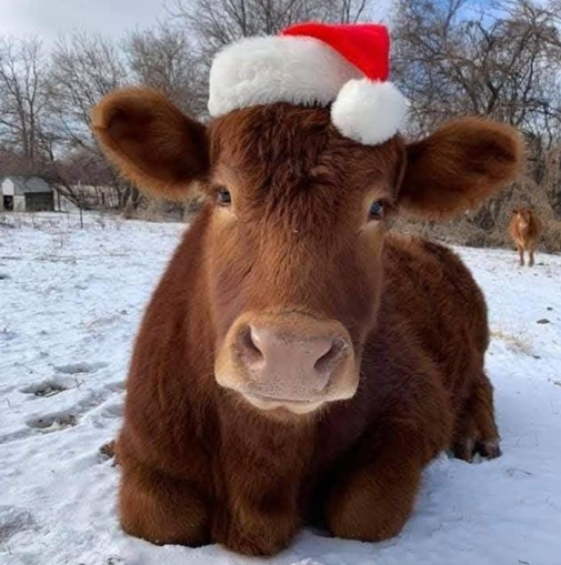 Homepage title picture